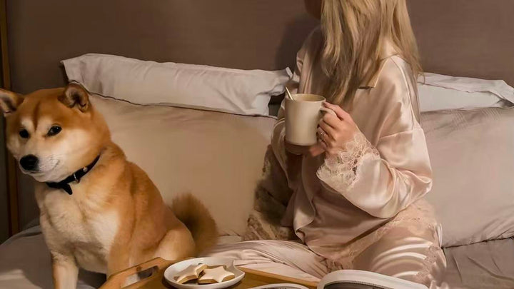 The Gentle Art of Silk: A Love Letter to What You Already Own