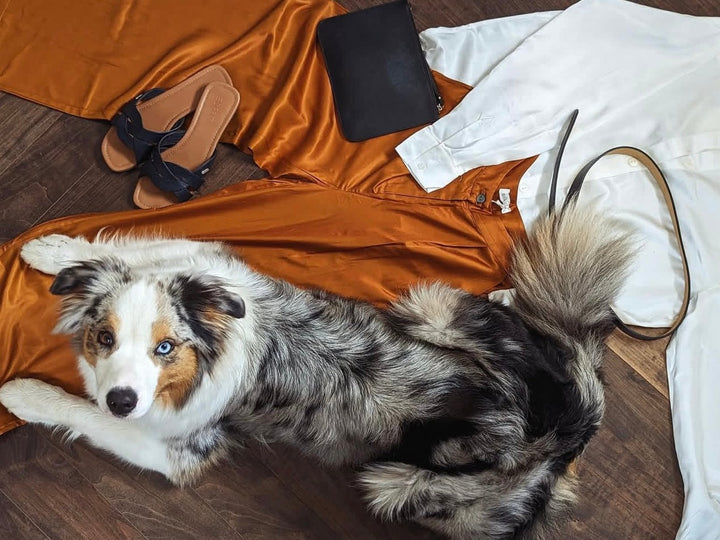 Embrace Pet-Friendly Luxury Silk